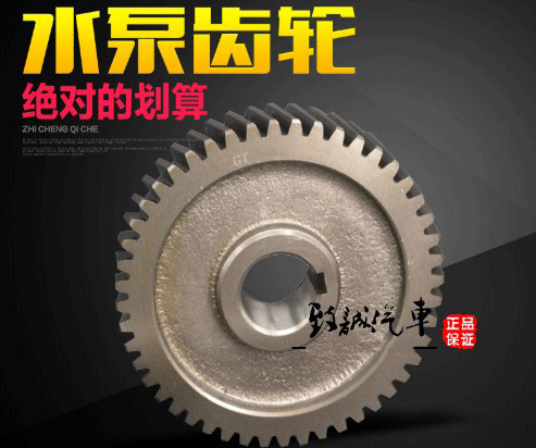 灑水泵齒輪圖片 灑水泵齒輪圖片