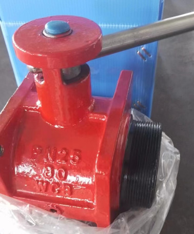 �T�F�������y