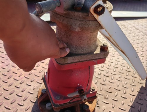 �L���������������y